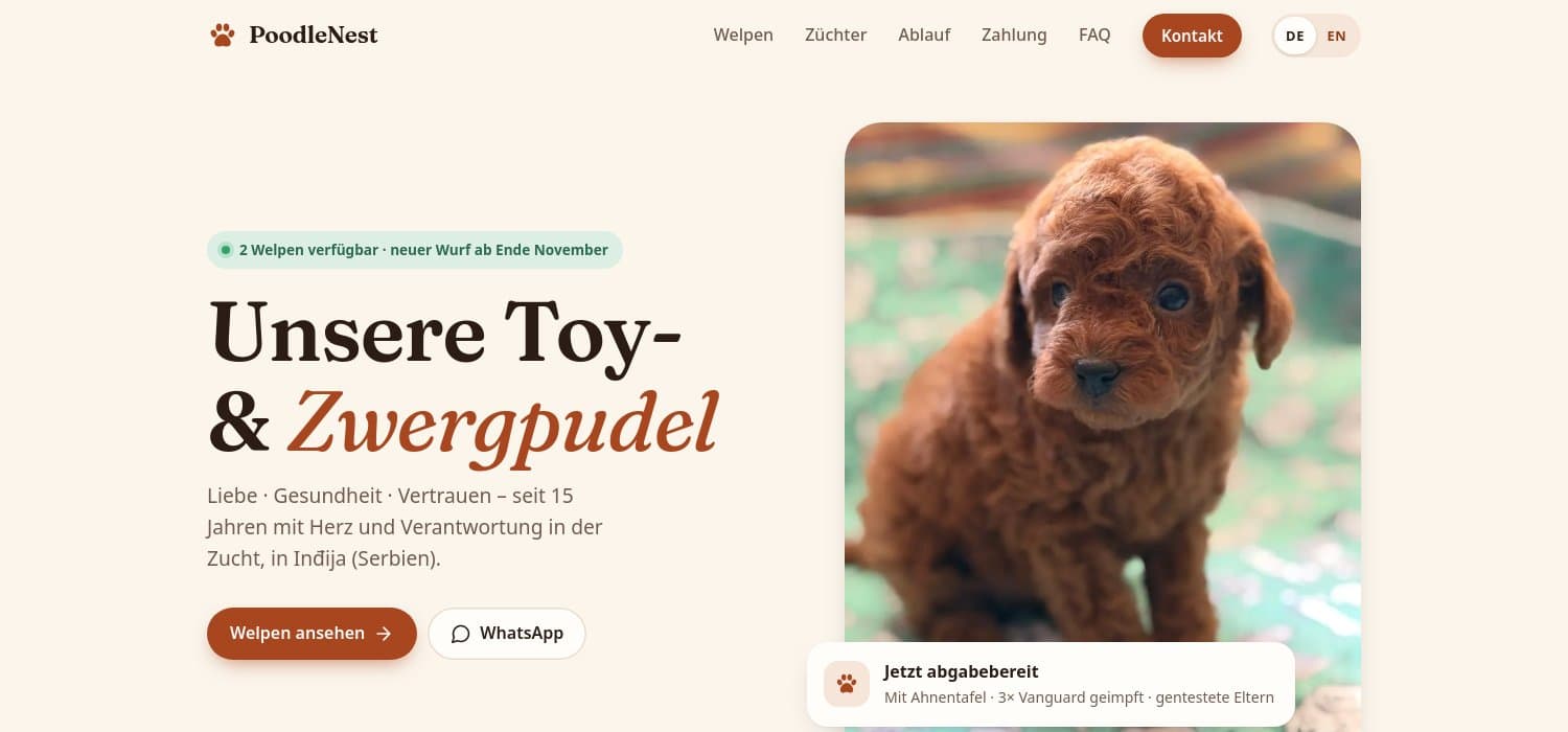 Website PoodleNest – Toy- & Zwergpudel